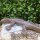 Salamander Gecko Echse Eidechse Gusseisen Gartendekoration Tiere Lurch TT157