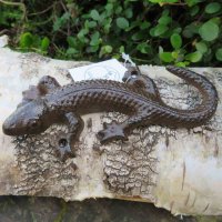 Salamander Gecko Echse Gusseisen Eidechse Gartentiere Molch Lurch GA669-S