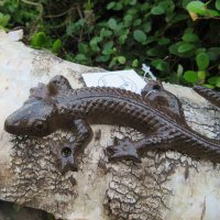 Salamander Gecko Echse Gusseisen Eidechse Gartentiere Molch Lurch GA669-S