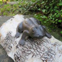 Frosch Frösche Kröte Gartenteich Gusseisen Gartentiere Dekoration 210115-B