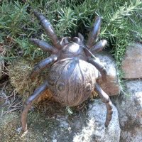 Spinne XL Gusseisen Gartendeko Dekoartikel Insekt Garten...