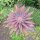 Gartenstecker Edelrost Rost Deko Garten Gartendeko Blume Blüte 284LV