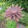 Gartenstecker Edelrost Rost Deko Garten Gartendeko Blume Blüte 284LV