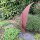 Gartenstecker Edelrost Rost Deko Garten Gartendeko Blume Blüte 048LV