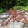 Biene Edelrost Rost Gartendekoration Deko Garten Gartendeko 162030