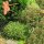 Edelrost Gartenstecker Beetstecker Stecker schwingende Libelle