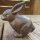 Gusseisen Hase Garten Tiere Gartendeko CD1000-SMF-B