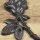 Garderobenhaken Rose Gusseisen Wandhaken Haken Kleiderhaken