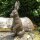 Gusseisen Hase Garten Tiere Gartendeko GA288B