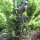 Gusseisen Vogel Gartenstecker Beetstecker Garten Deko
