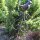 Gusseisen Vogel Gartenstecker Beetstecker Garten Deko