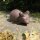Schlüsselversteck Gusseisen Maus Garten Deko Versteck LH233