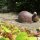 Schlüsselversteck Gusseisen Maus Garten Deko Versteck LH233