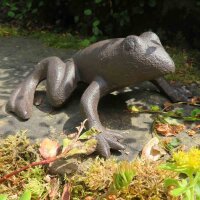 Frosch XL Frösche Kröte Gartenteich Gusseisen Gartentiere Gartendeko