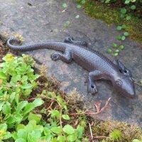 Salamander XL Gecko Echse Gusseisen Eidechse Molch Lurch...