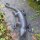 Salamander XL Gecko Echse Gusseisen Eidechse Molch Lurch Wandbefestigung
