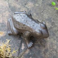 Frosch Gusseisen Kröte Frösche Gartenteich Garten Deko